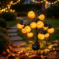 🎃 KAUFE 2, ERHALTE 1 GRATIS! ☀️ Solargetriebene Kürbislampe – Mehrere Köpfe, wetterfest & warmes Licht – Perfekte Halloween- & Herbstdeko für Garten & Terrasse 🌙