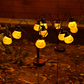 🎃 KAUFE 2, ERHALTE 1 GRATIS! ☀️ Solargetriebene Kürbislampe – Mehrere Köpfe, wetterfest & warmes Licht – Perfekte Halloween- & Herbstdeko für Garten & Terrasse 🌙