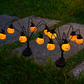 🎃 KAUFE 2, ERHALTE 1 GRATIS! ☀️ Solargetriebene Kürbislampe – Mehrere Köpfe, wetterfest & warmes Licht – Perfekte Halloween- & Herbstdeko für Garten & Terrasse 🌙