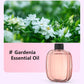 ✨ 50% RABATT! 🌿 Automatischer Aromatherapie-Diffusor – Ultraschall, Zeitschaltung & Smart-Display ✨