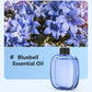 ✨ 50% RABATT! 🌿 Automatischer Aromatherapie-Diffusor – Ultraschall, Zeitschaltung & Smart-Display ✨
