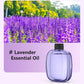✨ 50% RABATT! 🌿 Automatischer Aromatherapie-Diffusor – Ultraschall, Zeitschaltung & Smart-Display ✨