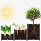 🌱 50% RABATT! 🪴 Gemüse-Anzuchtset – Bewässerungssystem für Kräuter & Salat ✨