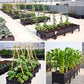 🌱 50% RABATT! 🪴 Gemüse-Anzuchtset – Bewässerungssystem für Kräuter & Salat ✨