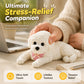 🧸 50% RABATT! 🐶 Quetsch-Teddyhund – Stressabbau, weich & süß ✨