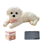 🧸 50% RABATT! 🐶 Quetsch-Teddyhund – Stressabbau, weich & süß ✨