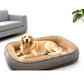 🛏️ 50% RABATT! 🐾 Tierbett – Stützschaum & doppelte, atmungsaktive Textur ✨