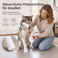 🐶 50% RABATT! 🐾 Einweg-Hundeschuhe – Wasserdicht, rutschfest & pfotenschonend ✨