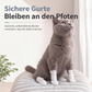 🐶 50% RABATT! 🐾 Einweg-Hundeschuhe – Wasserdicht, rutschfest & pfotenschonend ✨