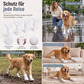 🐶 50% RABATT! 🐾 Einweg-Hundeschuhe – Wasserdicht, rutschfest & pfotenschonend ✨