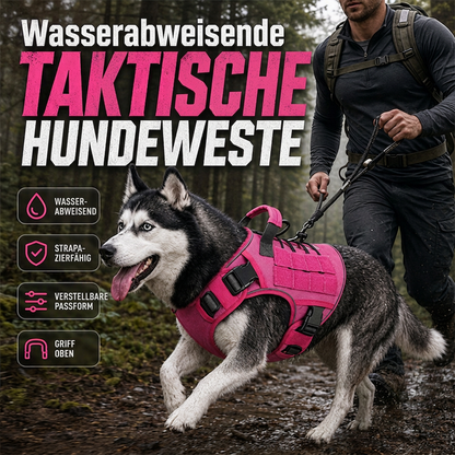 🐾 50% RABATT! 🛡️ Taktisches Hundegeschirr – Wasserabweisend & robuster Griff ✨