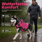 🐾 50% RABATT! 🛡️ Taktisches Hundegeschirr – Wasserabweisend & robuster Griff ✨