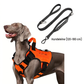 🐾 50% RABATT! 🛡️ Taktisches Hundegeschirr – Wasserabweisend & robuster Griff ✨