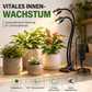 🌱 50% RABATT! 💡 Vollspektrum-LED-Pflanzenlampe – Fördert Wachstum & Blüte ✨