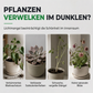 🌱 50% RABATT! 💡 Vollspektrum-LED-Pflanzenlampe – Fördert Wachstum & Blüte ✨