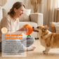 🧸 50% RABATT! 🍊 Orange Plüsch-Hundespielzeug – Verstecken & Spielspaß ✨
