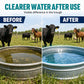 💧 KAUFE 2, ERHALTE 1 GRATIS! 🐄 Reinigungstabletten für Viehtränken & Wassertanks – Schnell löslich ✨