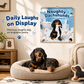 🐶 50% RABATT! 🗓️ Freche Dackel Wandkalender – Süß & dekorativ ✨