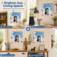 🐶 50% RABATT! 🗓️ Freche Dackel Wandkalender – Süß & dekorativ ✨