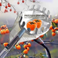 🍎 50% RABATT! 🌳 Obstpflücker mit Auffangkorb – Verzinkt & mit Teleskopstiel ✨